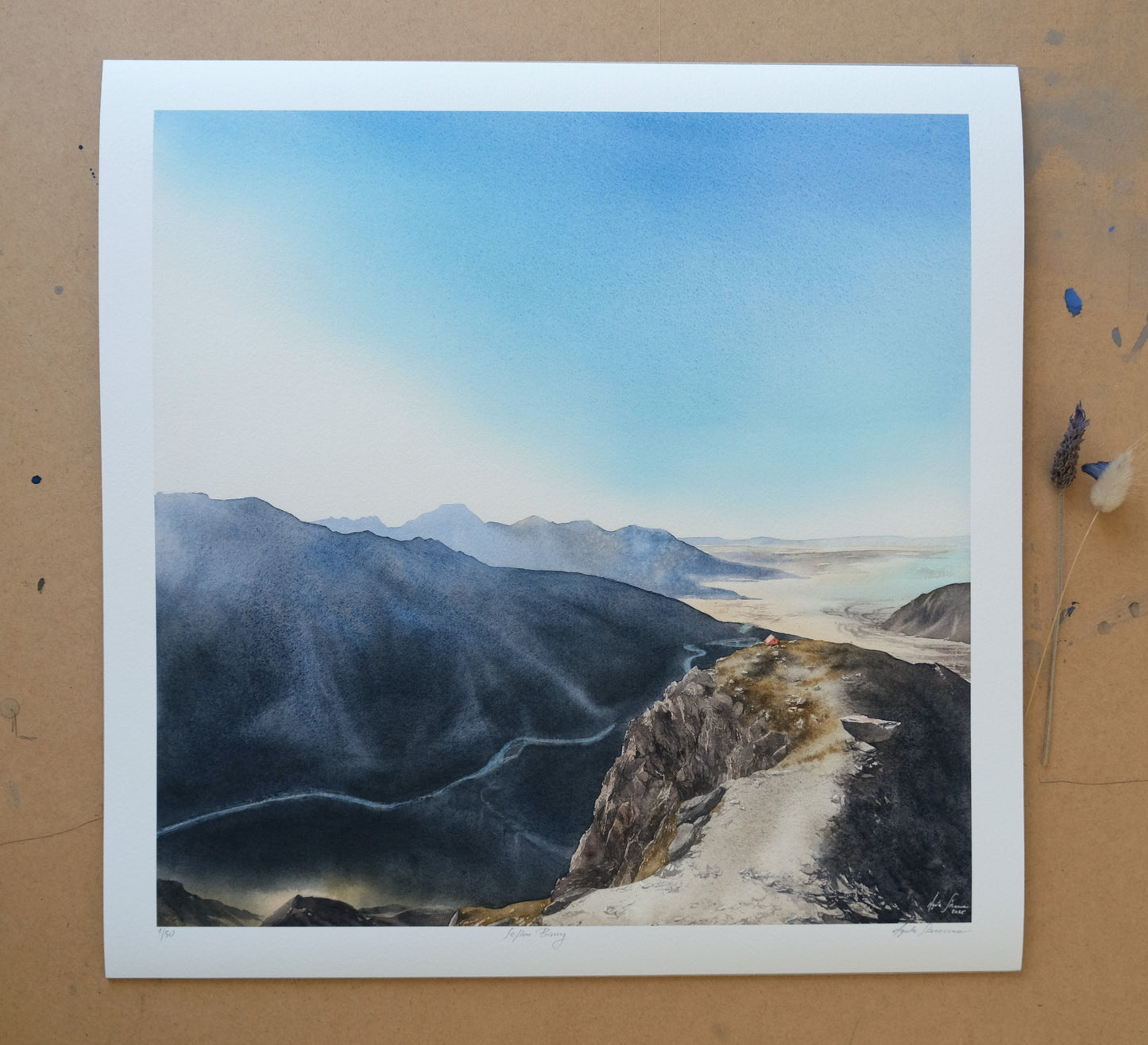 Sefton Bivvy - Print - Agata Skoneczna Art