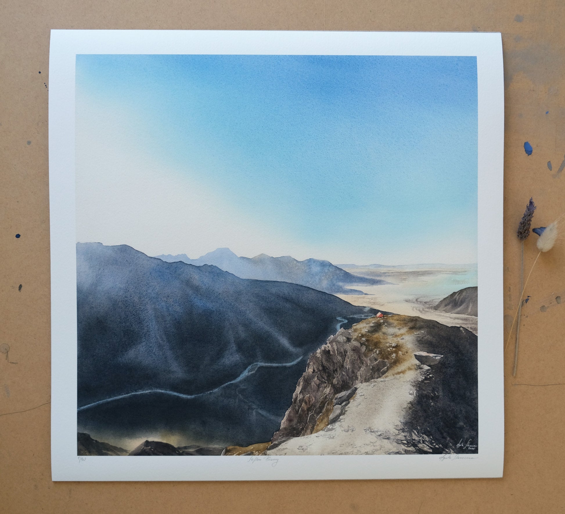 Sefton Bivvy - Print - Agata Skoneczna Art