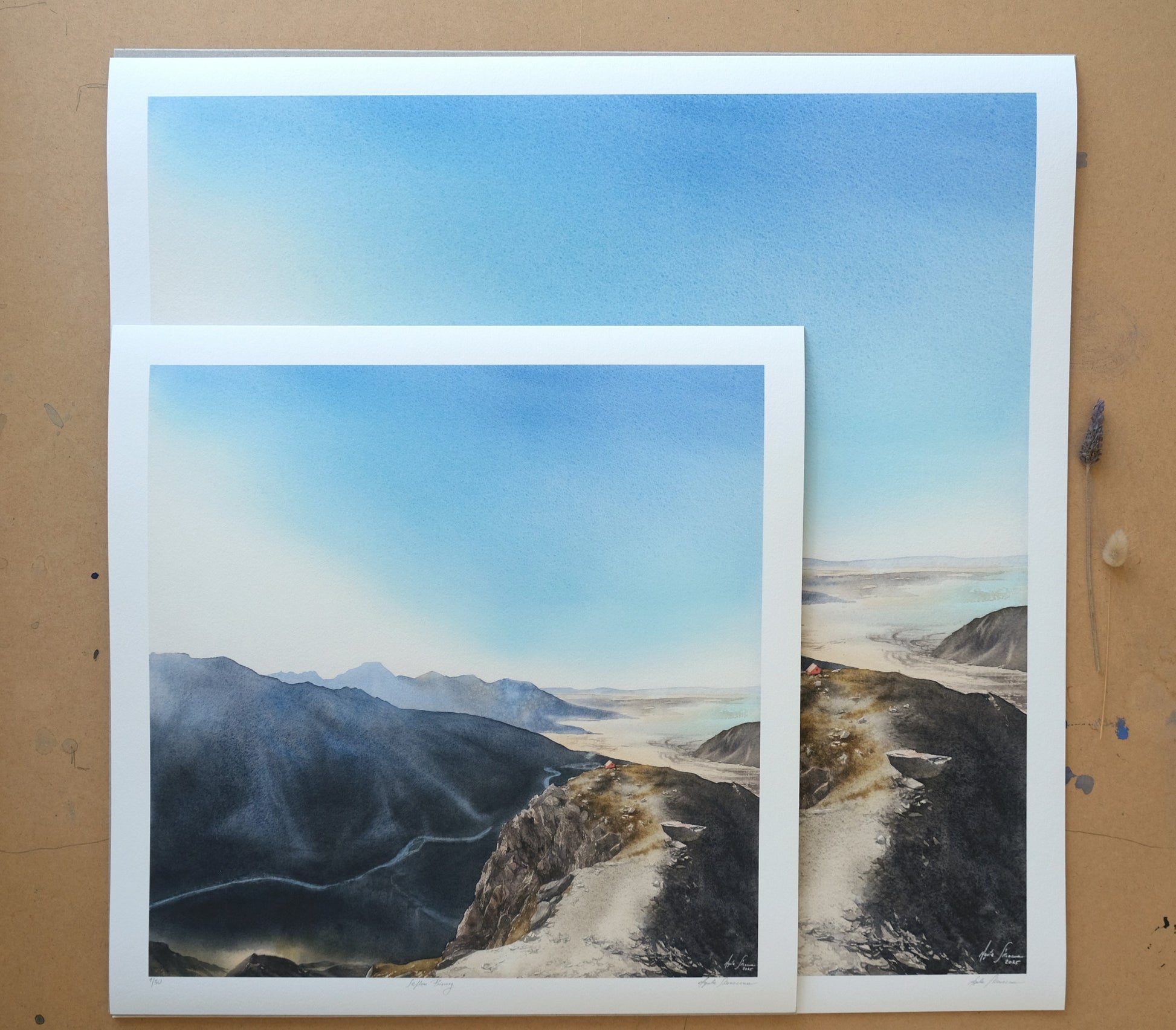 Sefton Bivvy - Print - Agata Skoneczna Art